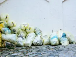A Canadian shares video of trash-filled snow, and anti-India comments flood his X post