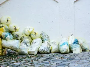 A Canadian shares video of trash-filled snow, and anti-India comments flood his X post