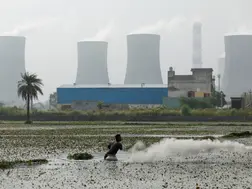 Global banking regulators commit to addressing climate risk work