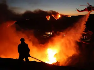 LA wildfires: Bloodbath in insurers stocks as losses top $20 billion