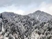 One terrorist killed in Kishtwar encounter, firing resumes; Udhampur search operation also underway