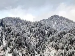 One terrorist killed in Kishtwar encounter, firing resumes; Udhampur search operation also underway