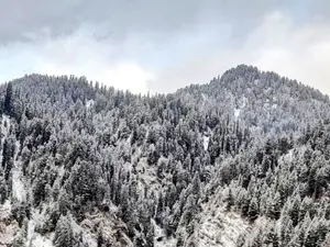 One terrorist killed in Kishtwar encounter, firing resumes; Udhampur search operation also underway