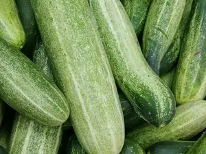 5 Cucumber-Based Snacks for Hot Summer Days