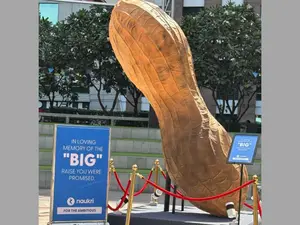 'In loving memory of BIG raise': A giant peanut stands tall in India's Gurugram ahead of appraisal season