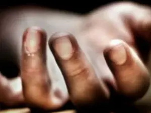 Scientist dies after neighbour thrashes him over parking dispute in Punjab’s Mohali: Video