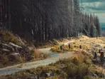 5 Best and Most Scenic Hiking Trails in the World