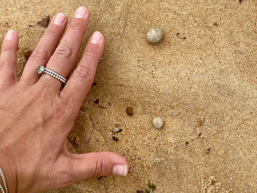Mysterious balls on shores force nine Australian beaches to shut down
