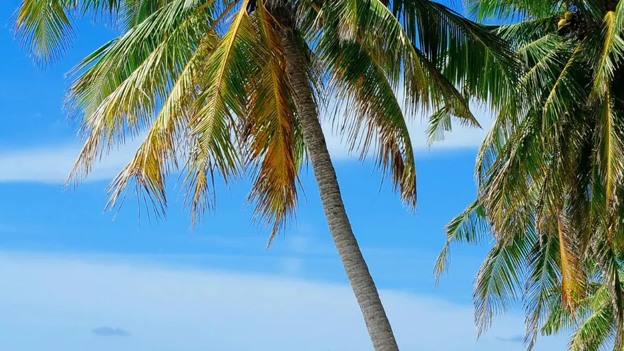 7 Underrated Beach Destinations in South India