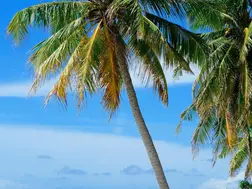 7 Underrated Beach Destinations in South India