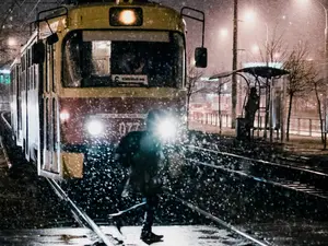 6 train journeys to witness scenic views