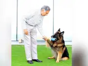 How much did Ratan Tata leave for his pets in his $443 million will?