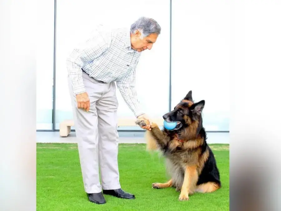 How much did Ratan Tata leave for his pets in his $443 million will?