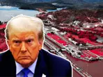 Explained: Why is Trump so obsessed with taking Panama Canal back? Is it essential for US?