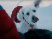 Superman: Netizens can't get enough of Krypto the Superdog