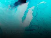 'Polynya effect': Scientists discover Switzerland-sized hole in the middle of Antarctica