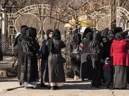 'Stop employing females or...': Taliban's latest order to curb women's rights in Afghanistan