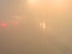 India: Delhi's dense fog impacts visibility and flight services