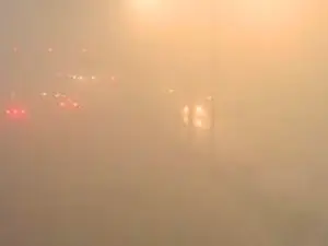 India: Delhi's dense fog impacts visibility and flight services