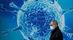 Another year, another pandemic? China discovers new bat coronavirus that poses risks to humans
