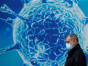 Another year, another pandemic? China discovers new bat coronavirus that poses risks to humans