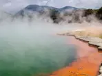 Yellowstone’s hot springs may hold clues to early life on Earth: Study