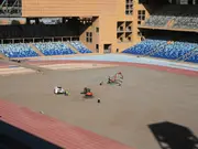 2030 FIFA World Cup host Morocco faces outrage over ‘mass dog culling’