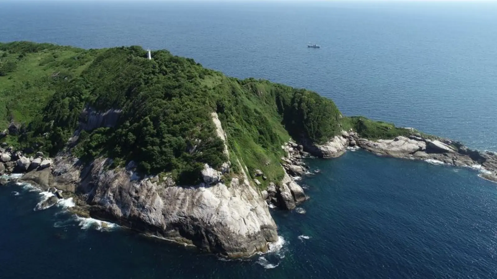 Snake Island