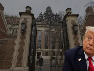 Did Trump vs Harvard row begin due to a 'mistake'? White House official reveals