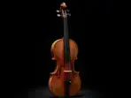 THIS rare item may become most expensive musical instrument to be auctioned
