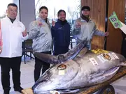 Huge Bluefin Tuna sold for $1.3 million at Tokyo’s famous annual auction