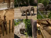 In a blow to animal rights, Colorado court refuses to free five elephants from lifetime of suffering