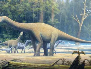 Dinosaur that roamed India 220 million years ago identified as Maleriraptor kuttyi