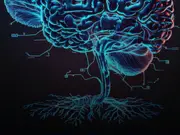 After making a mouse watch 'The Matrix', scientists create the largest 3D brain map ever