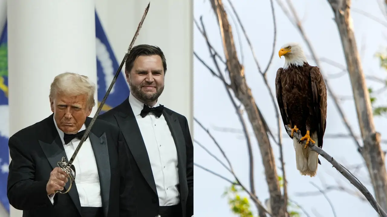 Trump 'trying to drive a knife' through ESA? US proposes allowing harmful human activities in endangered species habitats