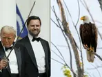 Trump 'trying to drive a knife' through ESA? US proposes allowing harmful human activities in endangered species habitats