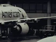 Rowdy woman pushed flight attendant who fell on another passenger. The airline has been sued