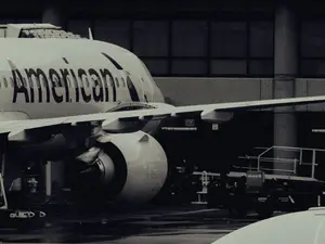 Rowdy woman pushed flight attendant who fell on another passenger. The airline has been sued