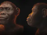 Meet Lucy: Scientists reveal what one of our earliest human ancestors looked like
