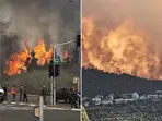 'Perhaps largest ever': What 'possibly' caused raging wildfires in Israel, causing national emergency