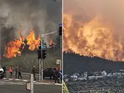 'Perhaps largest ever': What 'possibly' caused raging wildfires in Israel, causing national emergency