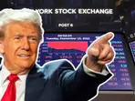'Black Monday' again? US analyst predicts BIGGEST market crash since 1987, warns Trump tariffs may cause 'bloodbath'