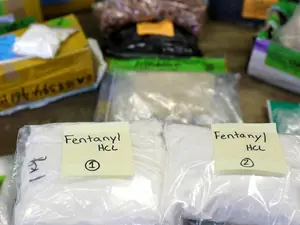 US intel names India, China as 'state-actors' in fentanyl trafficking amid Trump's trade war