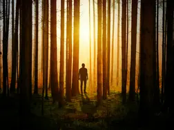 7 Unexplained Events That Are Still A Mystery To Humans