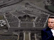 'Either we die quickly or slowly': Pentagon's 'SWAT team of nerds' resigns over clashes with Musk's DOGE