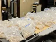 US authorities nab Indian national smuggling 170 pounds of ecstasy from Canada