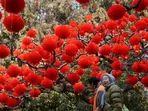 Chinese New Year 2025: Date, history, significance and all you need to know
