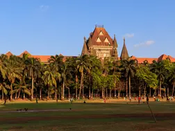 Bombay HC grants bail to man in minor's rape case, says she 'voluntarily' joined him