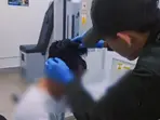 Watch | Colombian man arrested for trying to smuggle cocaine worth $10400 hidden in wig
