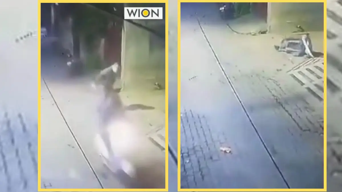 Watch: Man slaps random pedestrians for 'dopamine rush' to battle depression, arrested